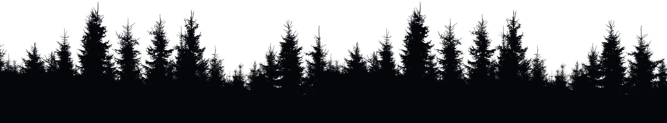 Silhouette von Tannenbäumen vor Nachtkulisse, perfekt für Wald- oder Naturthemen.