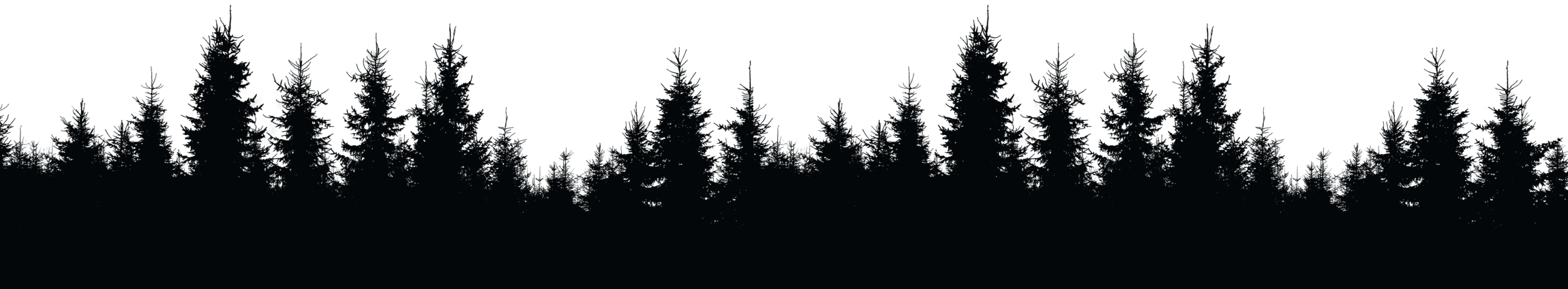 Silhouette von Tannenbäumen vor Nachtkulisse, perfekt für Wald- oder Naturthemen.